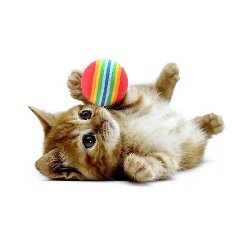 10pcs colorful soft foam play balls for cats 10pcs colorful soft foam play balls for cats