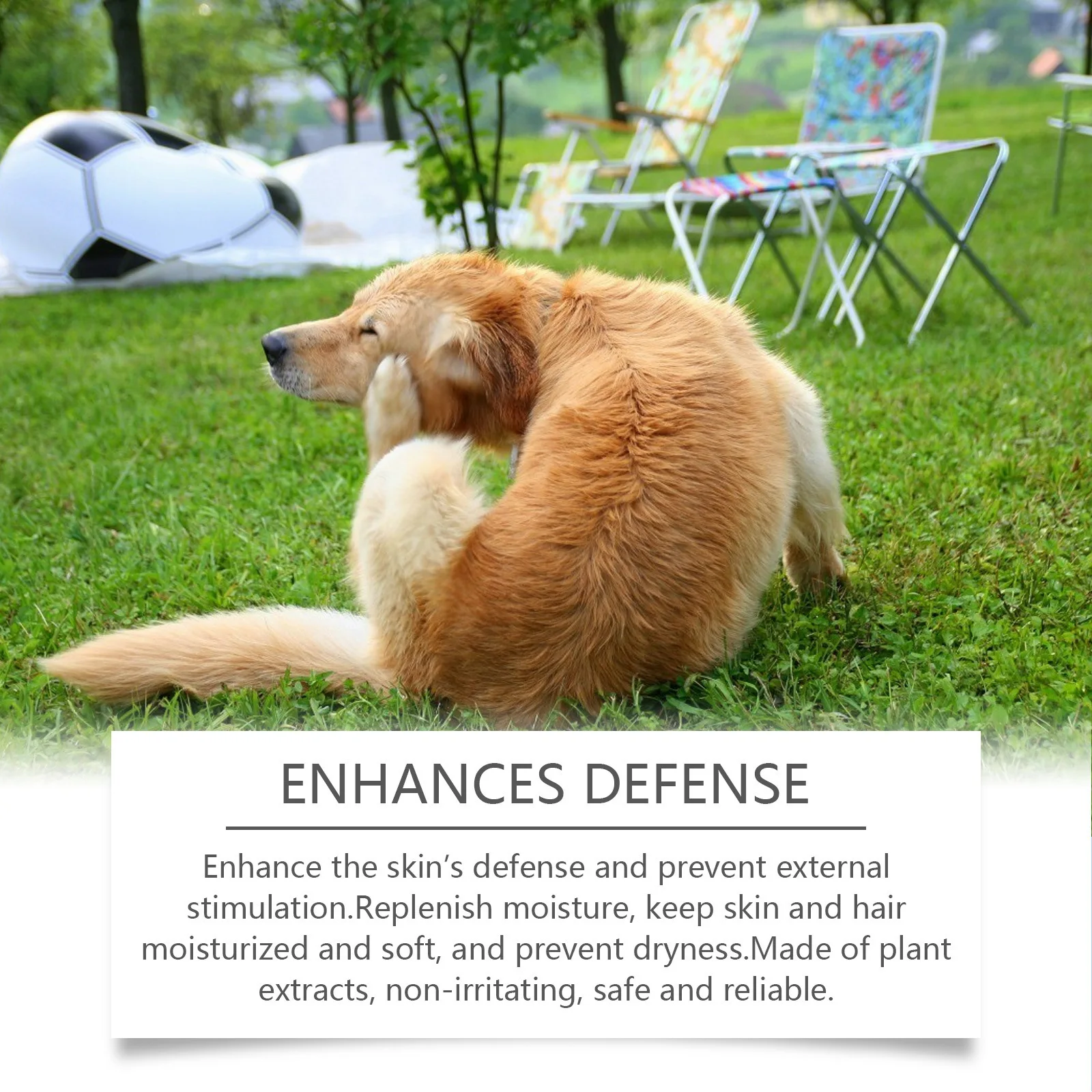 100ml ph balanced dog shampoo & conditioner for sensitive skin 100ml ph balanced dog shampoo & conditioner for sensitive skin
