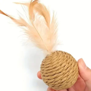 s9910c8a643f546b889b4c04f027054e9y.webp